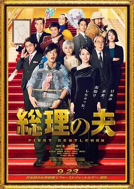 夜色导航