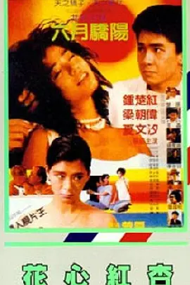 金本佐藤的女儿