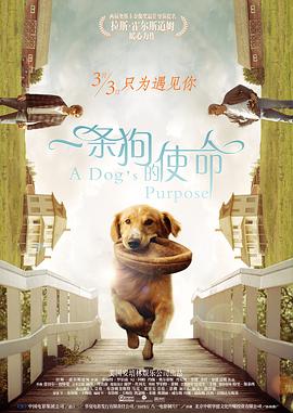 光兰的毕业典礼