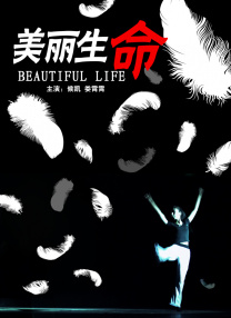 91视频区